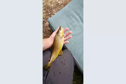 1535 Sumac Dr, Logan, UT 84321 - Photo 60