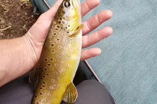 1535 Sumac Dr, Logan, UT 84321 - Photo 60