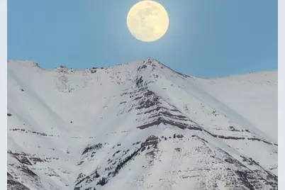 603 S 1040 E, American Fork, UT 84003 - Photo 4