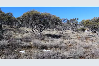 997 W Cisco Run #E41, Garden City, UT 84028 - Photo 4