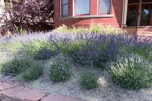 729 E 3rd Ave, Salt Lake City, UT 84103 - Photo 58