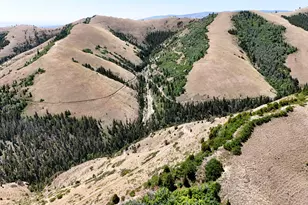 7500 Spring Canyon Rd, Helper, UT 84526 - Photo 46