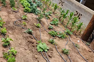 574 W Harding Ave N, Cedar City, UT 84720 - Photo 34