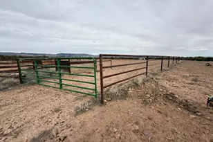 10294 N Zero E, Roosevelt, UT 84066 - Photo 44