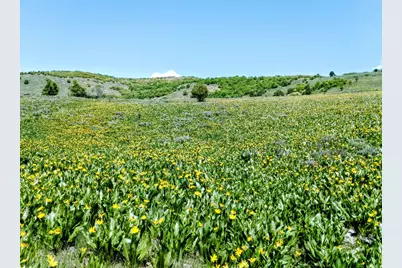 4500 N Seven Bridges #18, Eden, UT 84310 - Photo 6