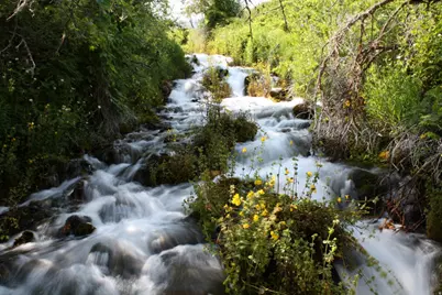 3136 W 2400 St S, Heber City, UT 84032 - Photo 74