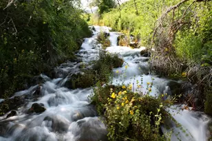 3136 W 2400 St S, Heber City, UT 84032 - Photo 74