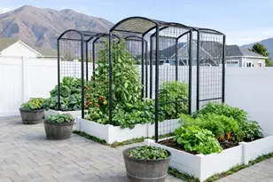 237 N 2470 E, Spanish Fork, UT 84660 - Photo 26