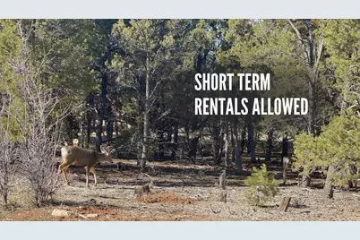 10550 W Zions Dr., Orderville, UT 84758 - Photo 4