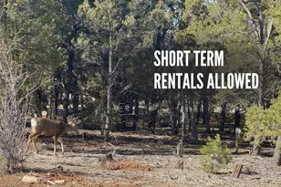 10550 W Zions Dr, Orderville, UT 84758 - Photo 4