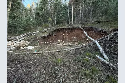 38 Pine Creek Rd #A38, Mount Pleasant, UT 84647 - Photo 16