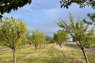 11363 S 5600 W, Payson, UT 84651 - Photo 62
