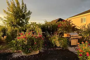 1058 S 175 E, Nephi, UT 84648 - Photo 38