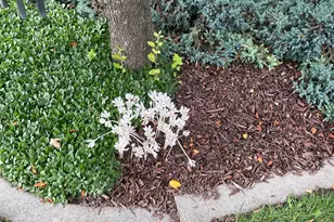 499 E 300 N, Alpine, UT 84004 - Photo 54