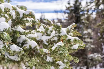 [Address not provided], Coalville, UT 84017 - Photo 22