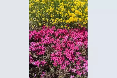 442 W 2540 N, Lehi, UT 84043 - Photo 32