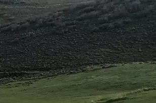 264 E Parkview Rd, Wanship, UT 84017 - Photo 1