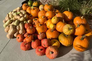 1932 E Charleston Ln, Holladay, UT 84121 - Photo 54