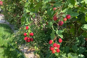 4641 W 5675 S, Hooper, UT 84315 - Photo 32