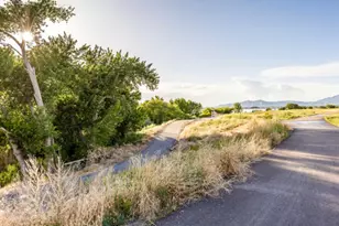 689 N 380 W, Vineyard, UT 84059 - Photo 16