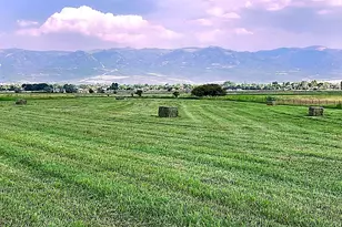 19600 N 8250 E, Mount Pleasant, UT 84647 - Photo 60