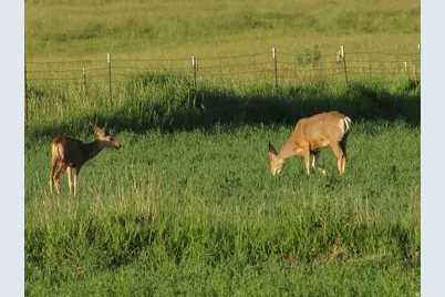19600 N 8250 E, Mount Pleasant, UT 84647 - Photo 52