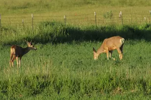 19600 N 8250 E, Mount Pleasant, UT 84647 - Photo 52