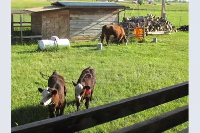 19600 N 8250 E, Mount Pleasant, UT 84647 - Photo 44