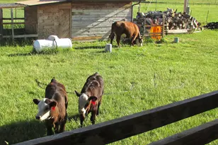 19600 N 8250 E, Mount Pleasant, UT 84647 - Photo 44