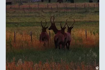 19600 N 8250 E, Mount Pleasant, UT 84647 - Photo 58