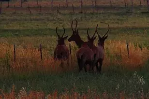 19600 N 8250 E, Mount Pleasant, UT 84647 - Photo 58