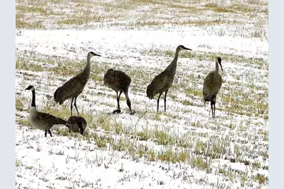 19600 N 8250 E, Mount Pleasant, UT 84647 - Photo 56