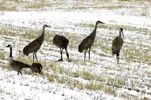 19600 N 8250 E, Mount Pleasant, UT 84647 - Photo 56