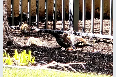 850 S Donner Way #300, Salt Lake City, UT 84108 - Photo 44