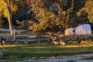 290 E State Road 29, Orangeville, UT 84537 - Photo 58