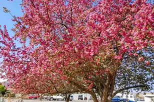 290 E State Road 29, Orangeville, UT 84537 - Photo 60