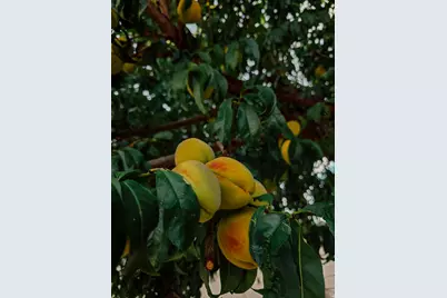 564 S 300 W, Helper, UT 84526 - Photo 20