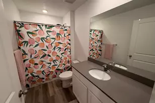 1210 S Catail Dr, Santaquin, UT 84655 - Photo 26