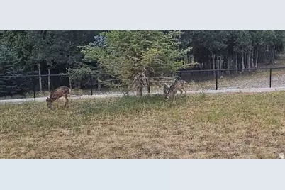 1007 S Summit Creek Dr #168, Woodland Hills, UT 84653 - Photo 2