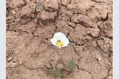 [Address not provided], Fruitland, UT 84027 - Photo 16