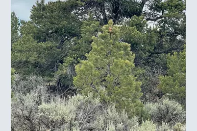 [Address not provided], Fruitland, UT 84027 - Photo 30