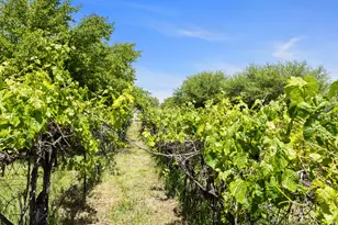 1890 W Rock Hollow Rd, Bluffdale, UT 84065 - Photo 22