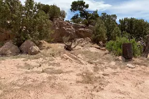 19948 W 1000 S, Talmage, UT 84073 - Photo 34