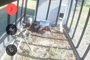 7755 N Hwy 38 W, Honeyville, UT 84314 - Photo 90