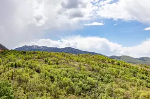 806 S Smt Crk Dr, Woodland Hills, UT 84653 - Photo 16