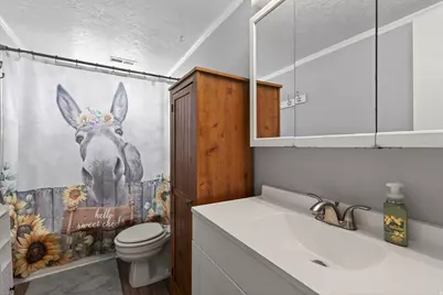 532 E 500 N, American Fork, UT 84003 - Photo 22