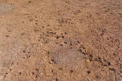 335 N North Old Hwy, Monticello, UT 84535 - Photo 10