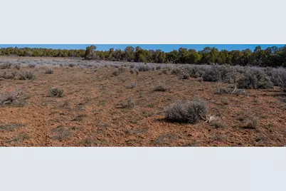 335 N North Old Hwy, Monticello, UT 84535 - Photo 18