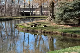 1524 W Merlin Dr, Provo, UT 84601 - Photo 34