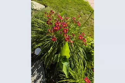 1515 E Gentile St, Layton, UT 84040 - Photo 78